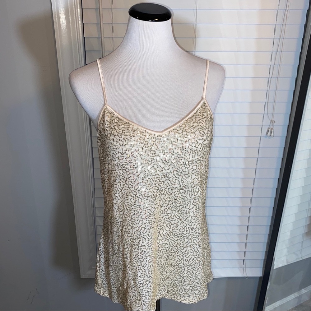 🛍 5/$25 Champagne Sequin Camisole